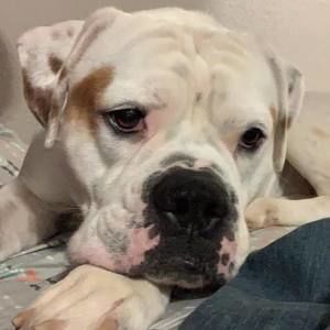 Meet your Posher, Kit